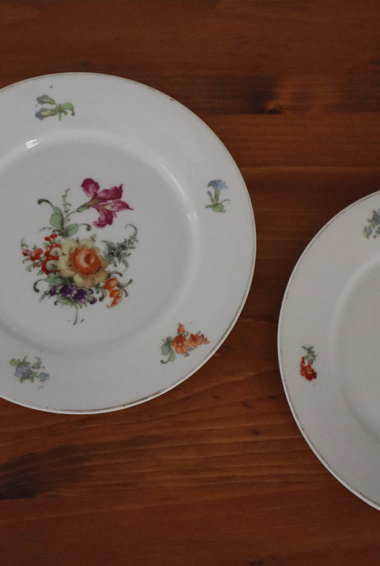 Decorative German Plates (set of two)
