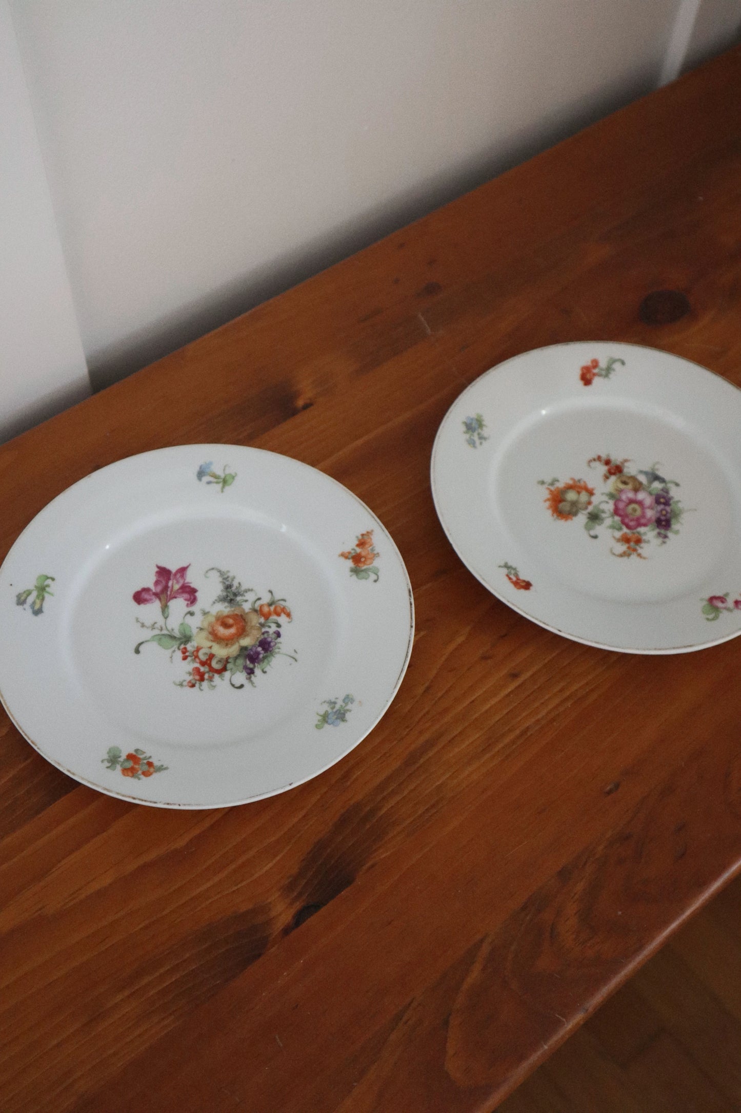 Decorative German Plates (set of two)