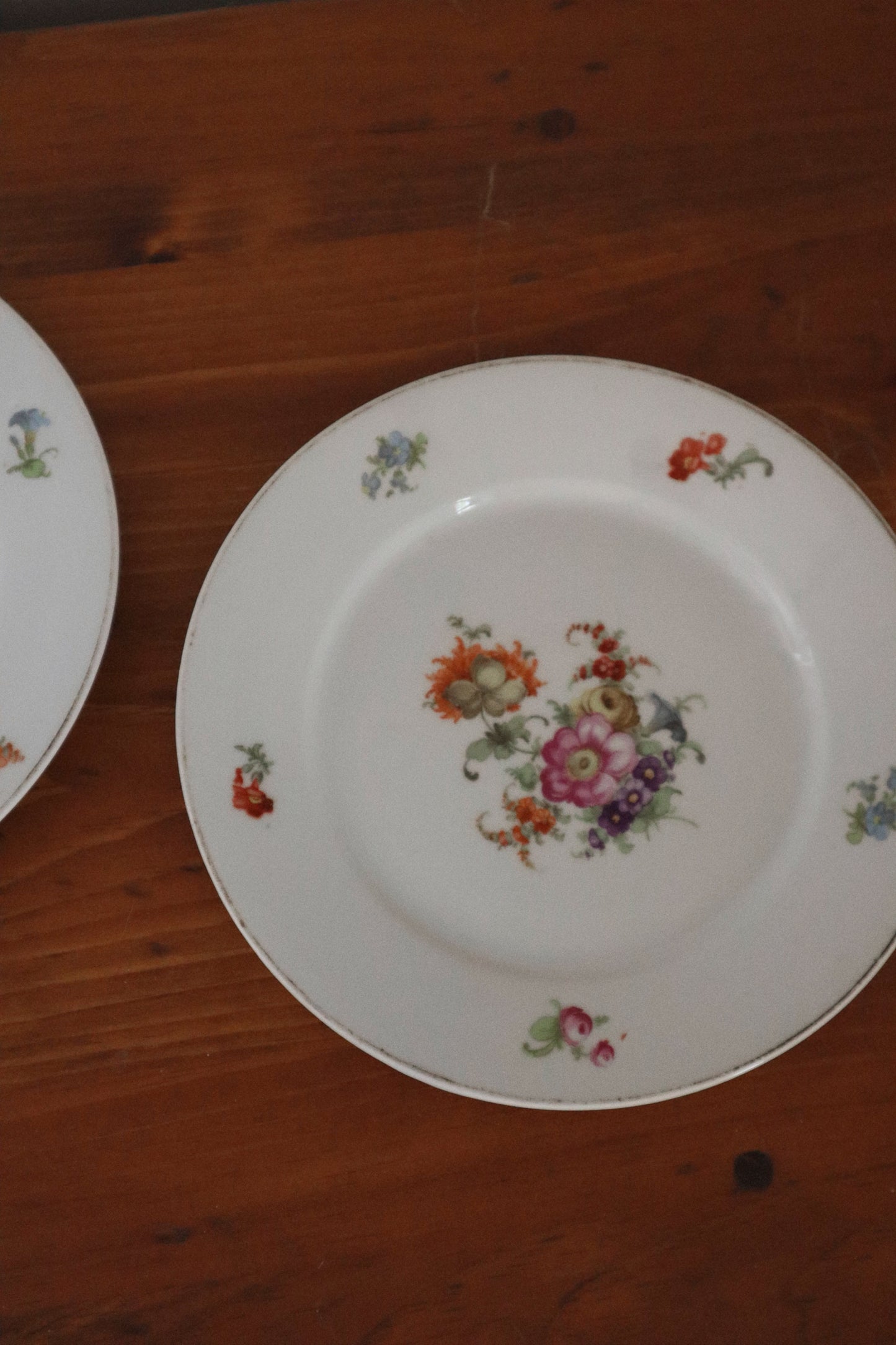 Decorative German Plates (set of two)