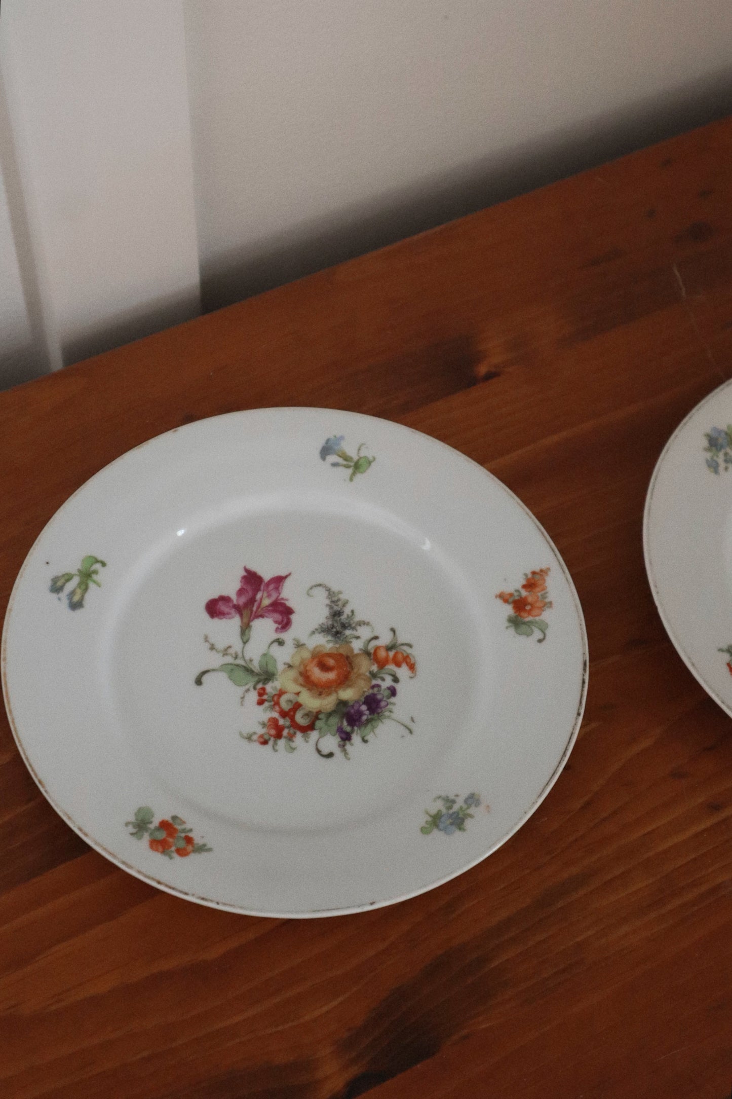 Decorative German Plates (set of two)