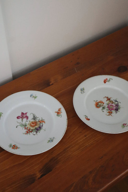 Decorative German Plates (set of two)