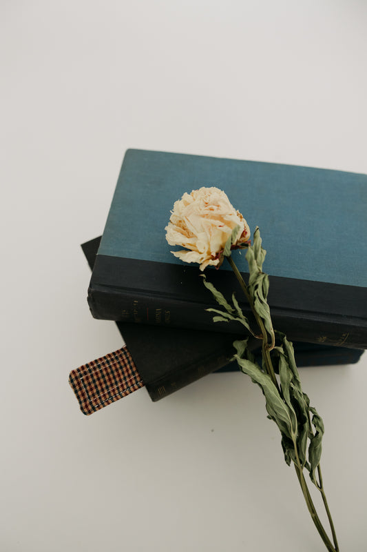 Blue & Red Gingham Bookmark